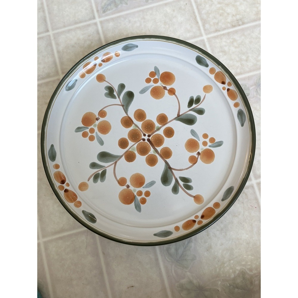 Vintage Noritake Stoneware 8574 Bliss 10 1/2" Dinner Plate Discontinued